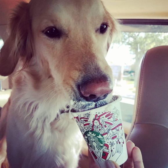 Meet your Posher, Erin - Picture 7 of 8